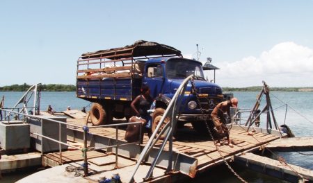 clou de girofle madagascar