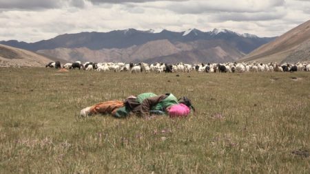 bergere-des-glaces-sieste