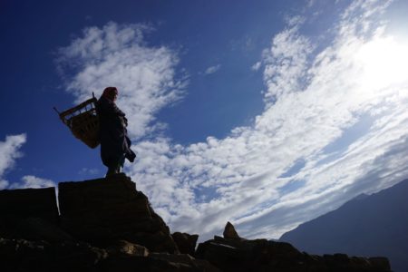 bergere-des-glaces-contre-jour