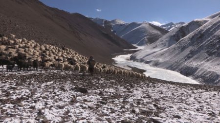 bergere-des-glaces-vallee-neige